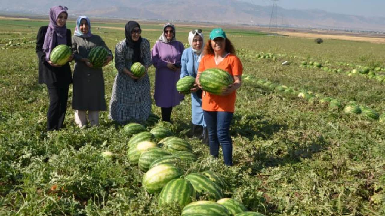 Foto - Şehre tam iki milyar lira kazandıracak: Türkiye’nin dört bir yanına TIR’lar dolusu gönderiyorlar