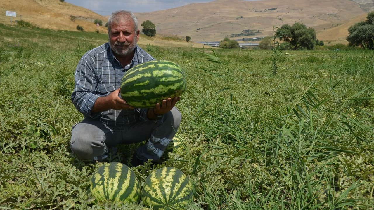 Foto - Şehre tam iki milyar lira kazandıracak: Türkiye’nin dört bir yanına TIR’lar dolusu gönderiyorlar