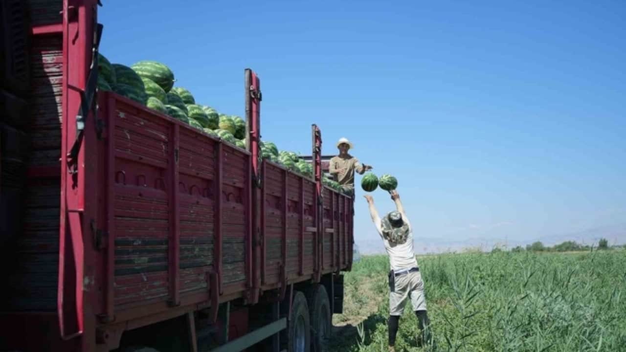 Foto - Şehre tam iki milyar lira kazandıracak: Türkiye’nin dört bir yanına TIR’lar dolusu gönderiyorlar