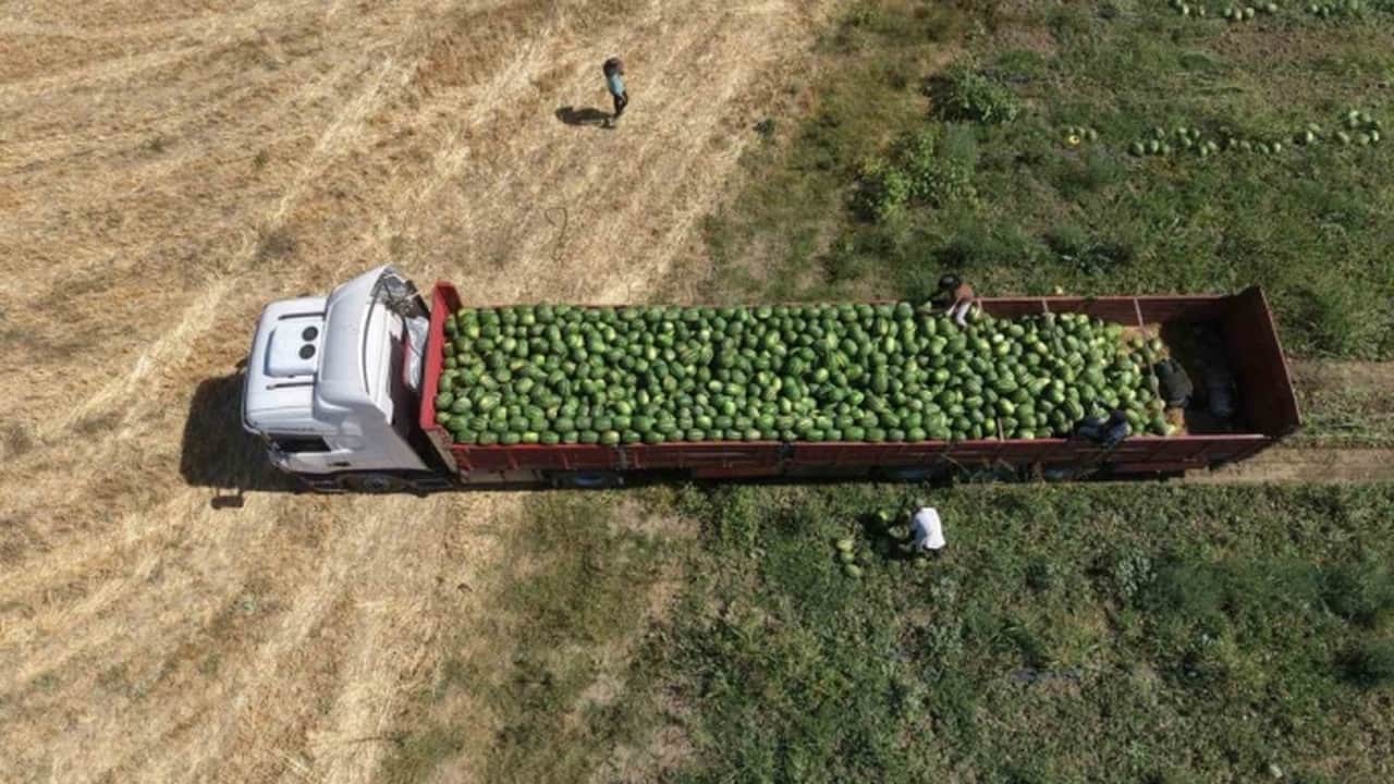 Foto - Şehre tam iki milyar lira kazandıracak: Türkiye’nin dört bir yanına TIR’lar dolusu gönderiyorlar