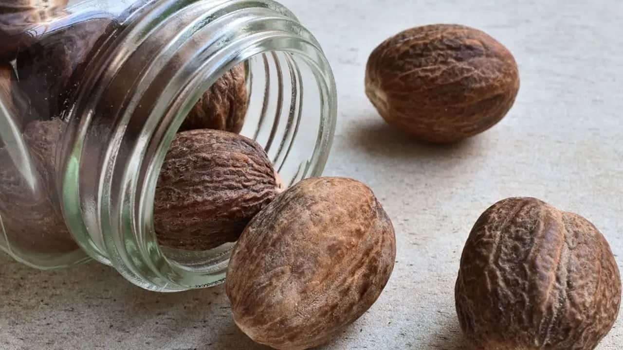 Foto - Ses kısıklığı için tavsiye edilen Muskat sonbaharın yeni favorisi: Muskat cevizi nedir, faydası var mı?
