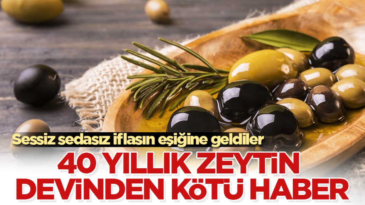 Sessiz sedasız iflasın eşiğine geldiler! 40 yıllık zeytin devinden kötü haber