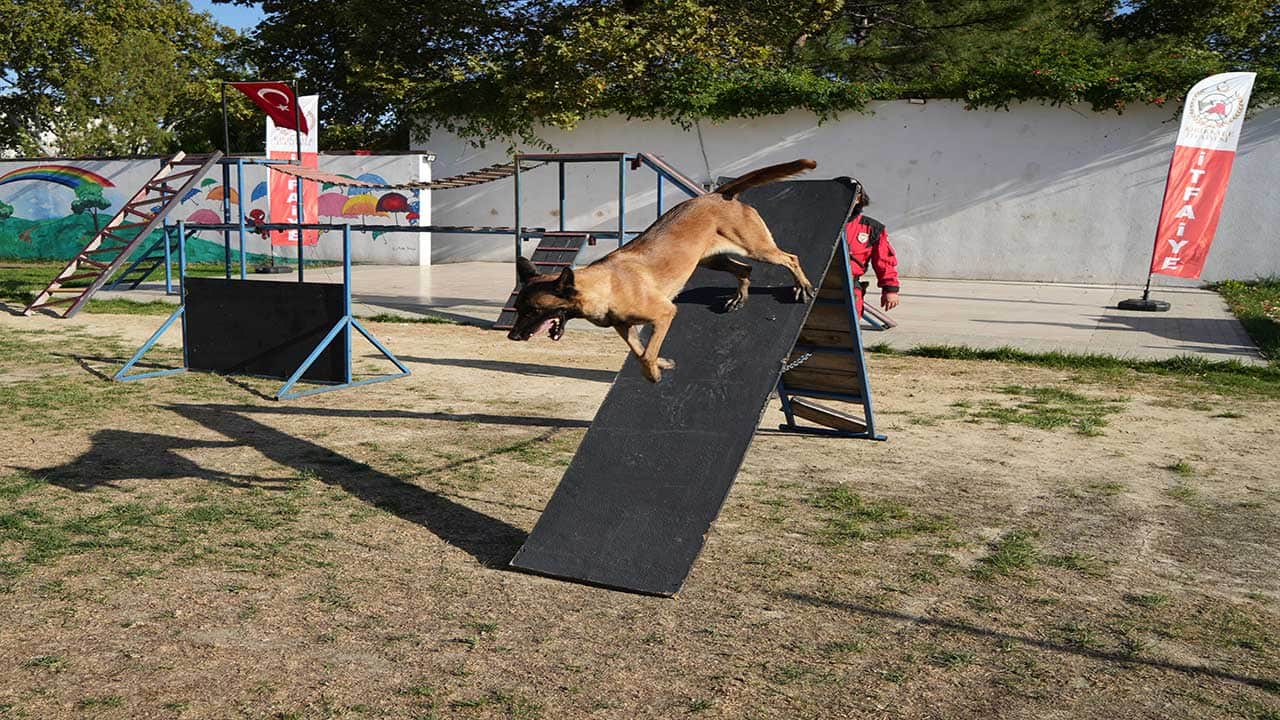 Foto - Sevimli kahramanlar Kırıkkale'de sahneye çıktı! Gizlenen çocukları dakikalar içinde bulup herkesi hayran bıraktılar
