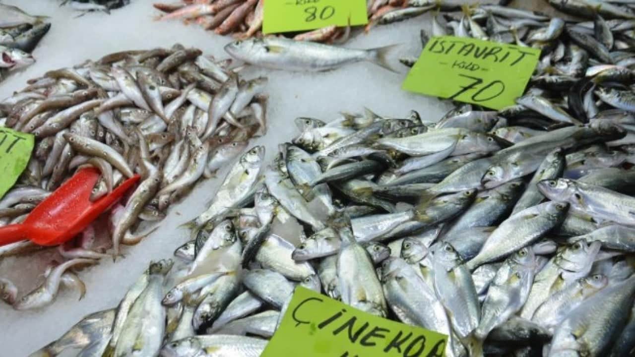 Foto - Sezon açıldı, balık tezgahları doldu taştı
