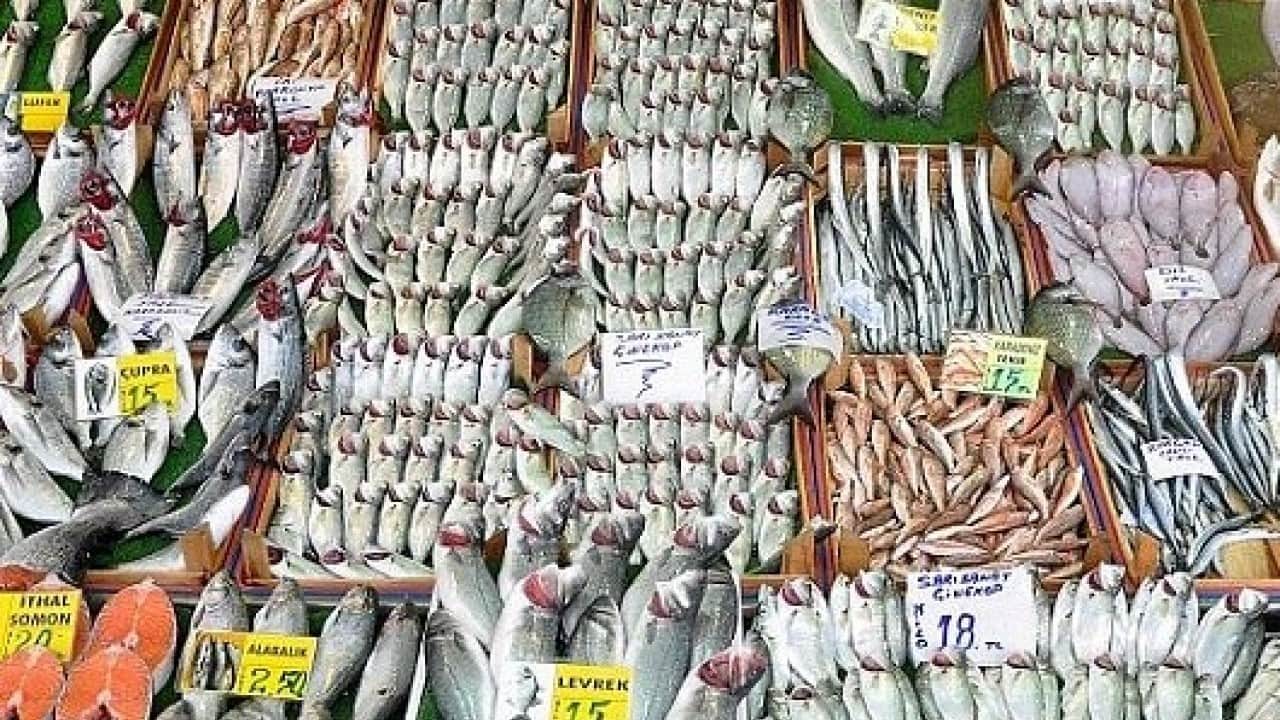 Foto - Sezon açıldı, balık tezgahları doldu taştı