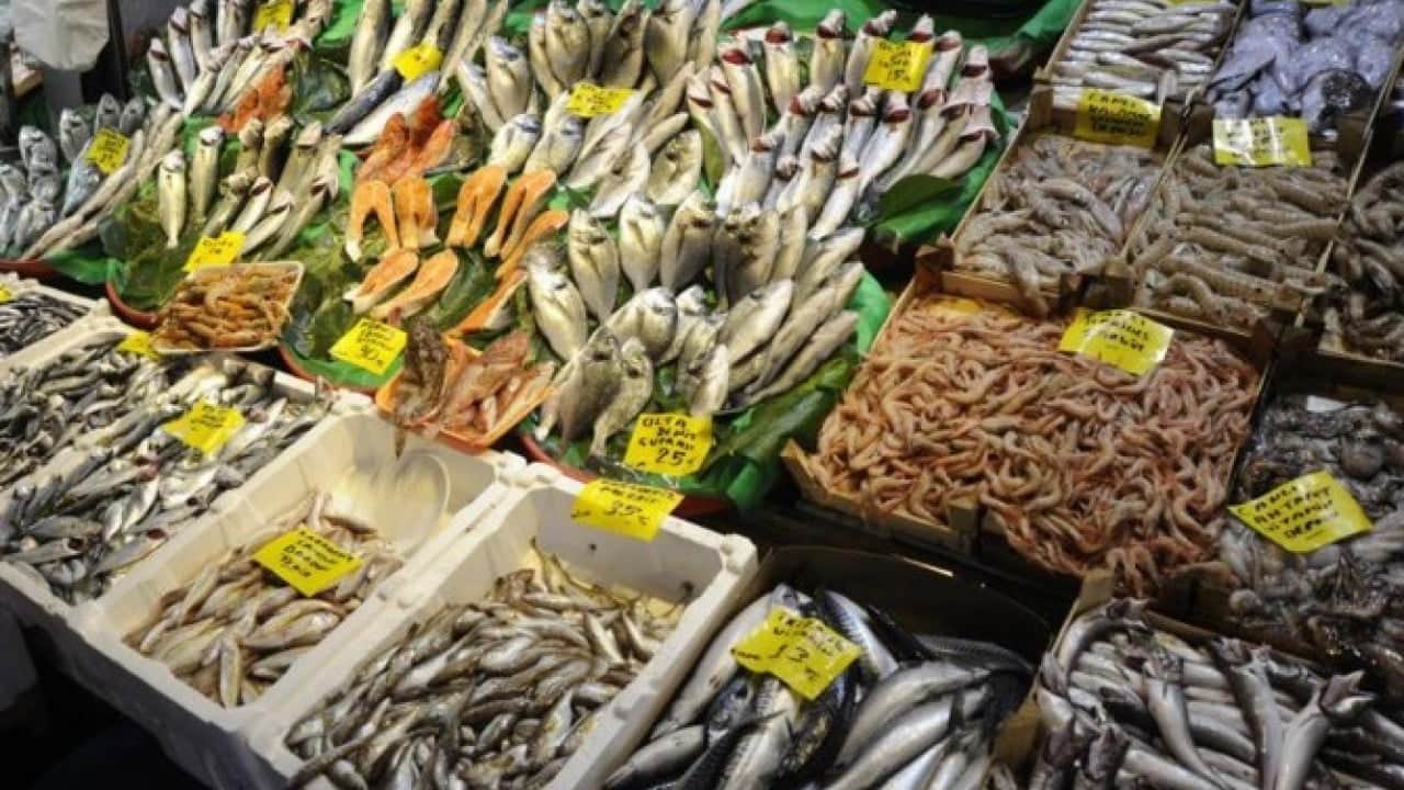 Sezon açıldı, balık tezgahları doldu taştı
