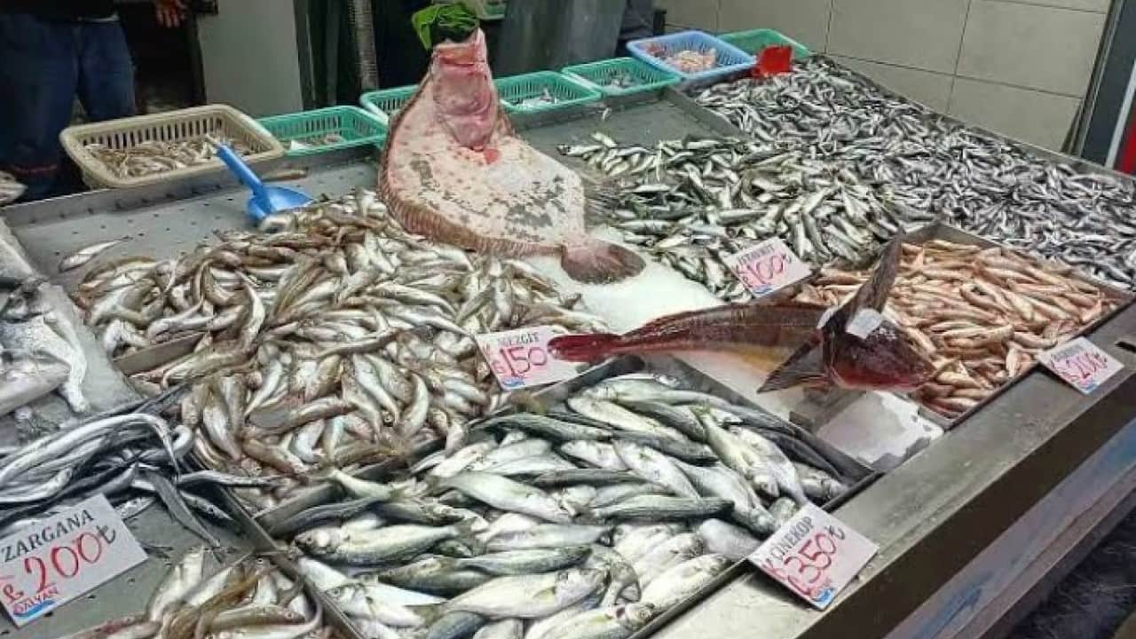 Foto - Sezon açıldı, balık tezgahları doldu taştı