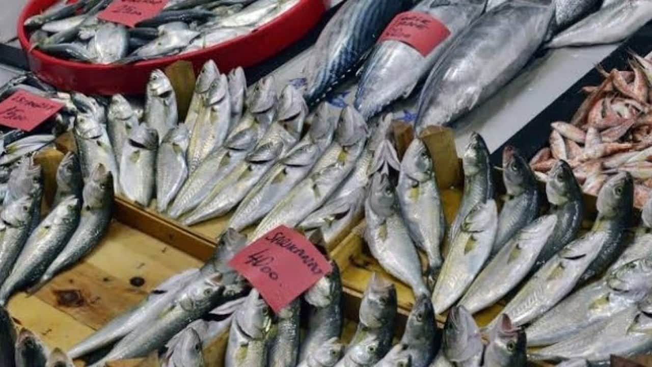 Foto - Sezon açıldı, balık tezgahları doldu taştı