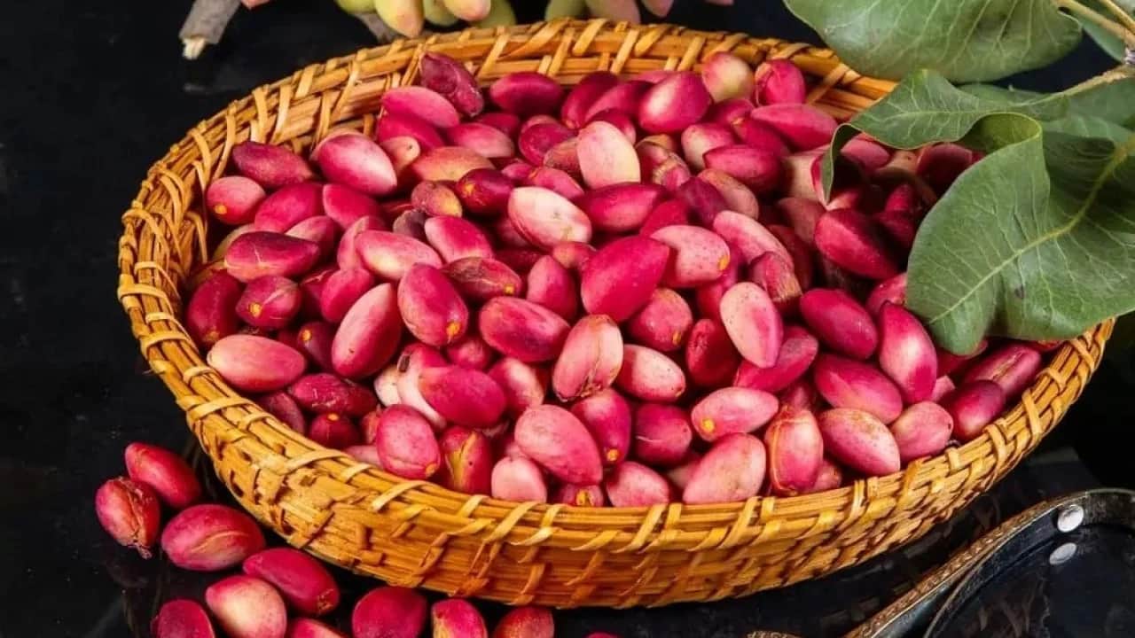 Sezonun ilk ürünü tezgaha çıktı Fiyatı dudak uçuklattı!