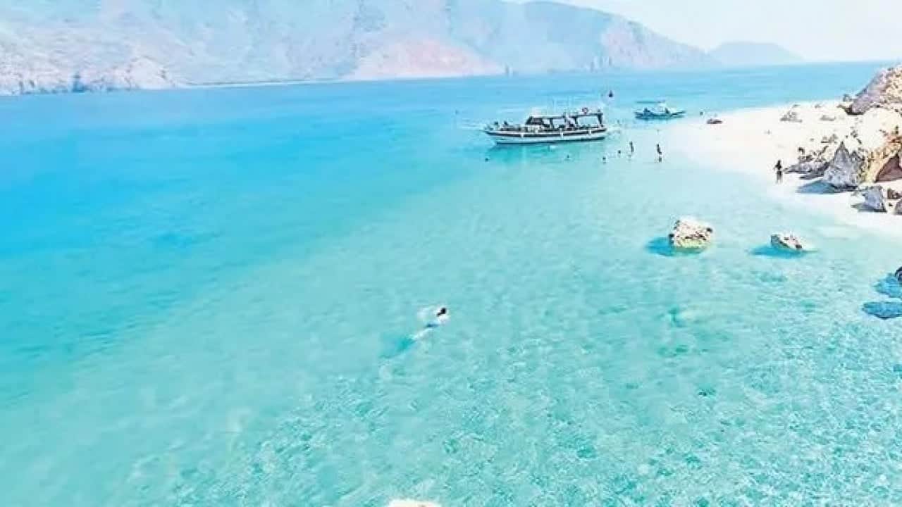 Foto - Shaun Morton 'farkettiler' diyerek kötü haberi verdi: Türkiye'yi bırakıp Mısır'ı seçebilirler