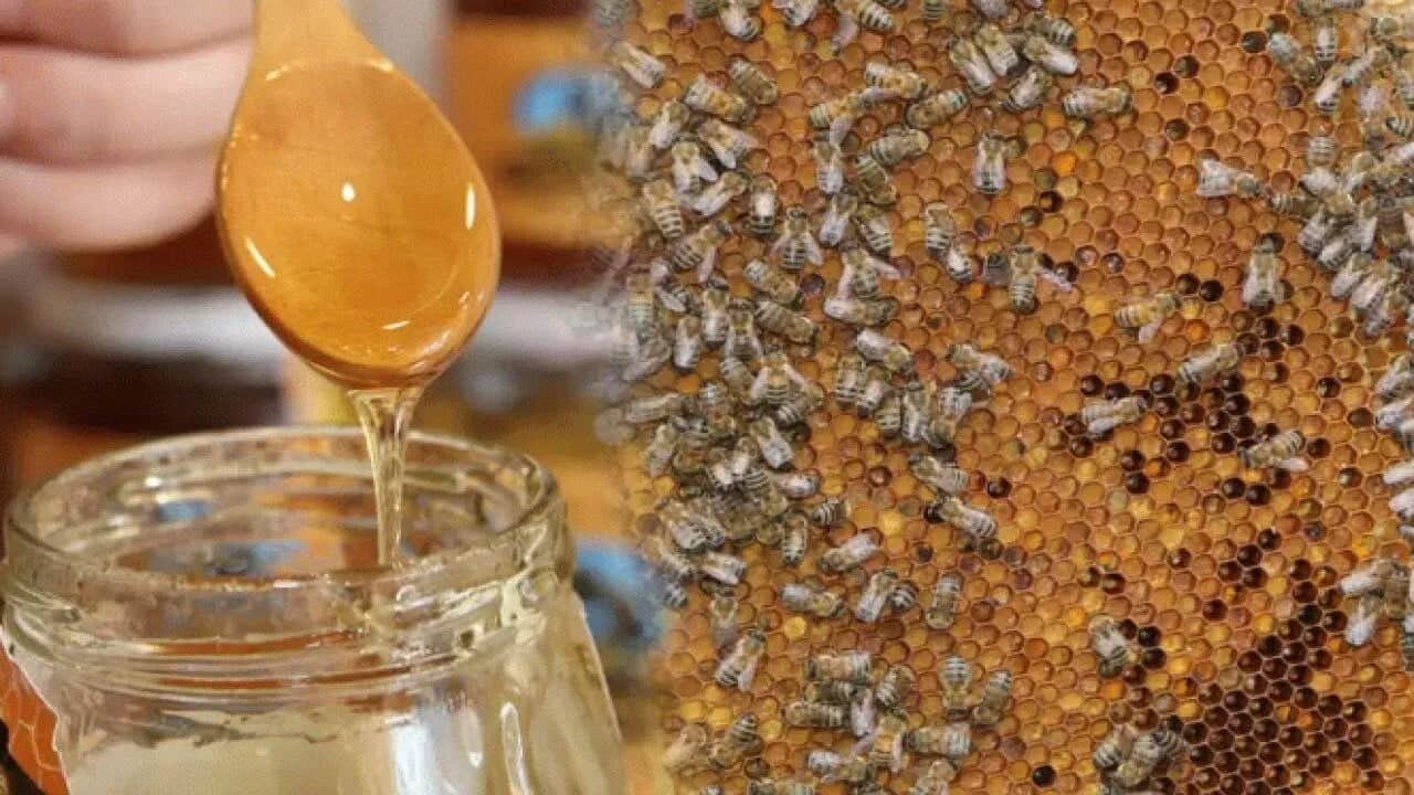 Foto - Şifa deposunun yeni sezon fiyatı rekor kırdı! Hasat bitti ama etiketi görenler şaşkına döndü!
