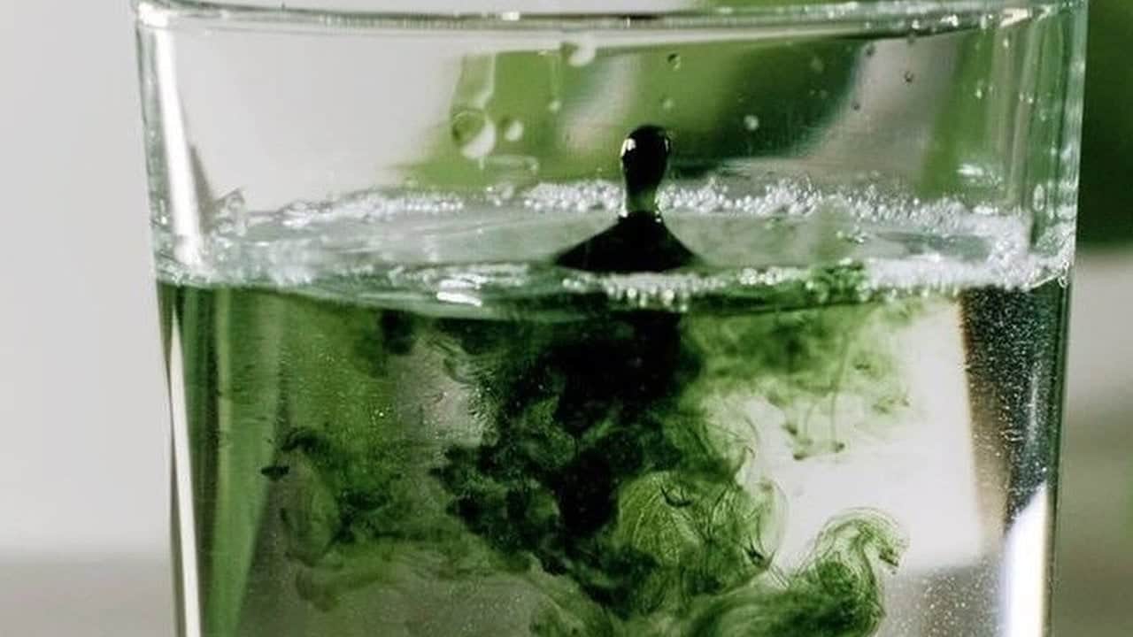 Foto - Şifa niyetine içilen o gıda meğer ölüm saçıyormuş! Uzmanlar uyardı: Organları bitiriyor