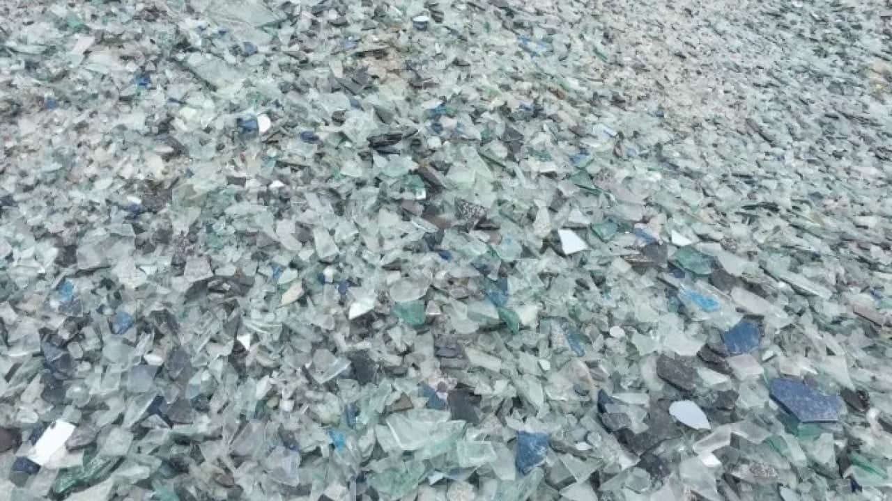 Foto - Sıfır atıkta çılgın proje! Kullanılmış bebek bezinden bakın ne yaptılar