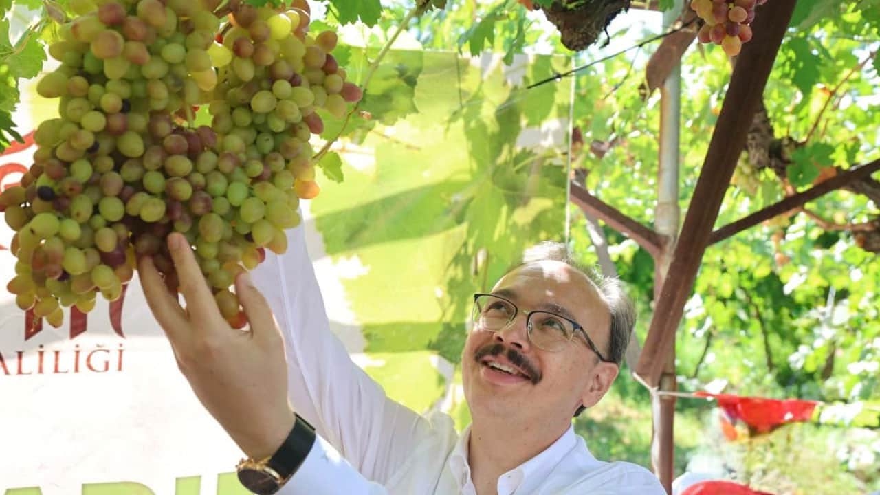 Foto - Siirt’in tescilli lezzeti Avrupa yolcusu! Hasadı başladı, yaprağı sınırları aştı
