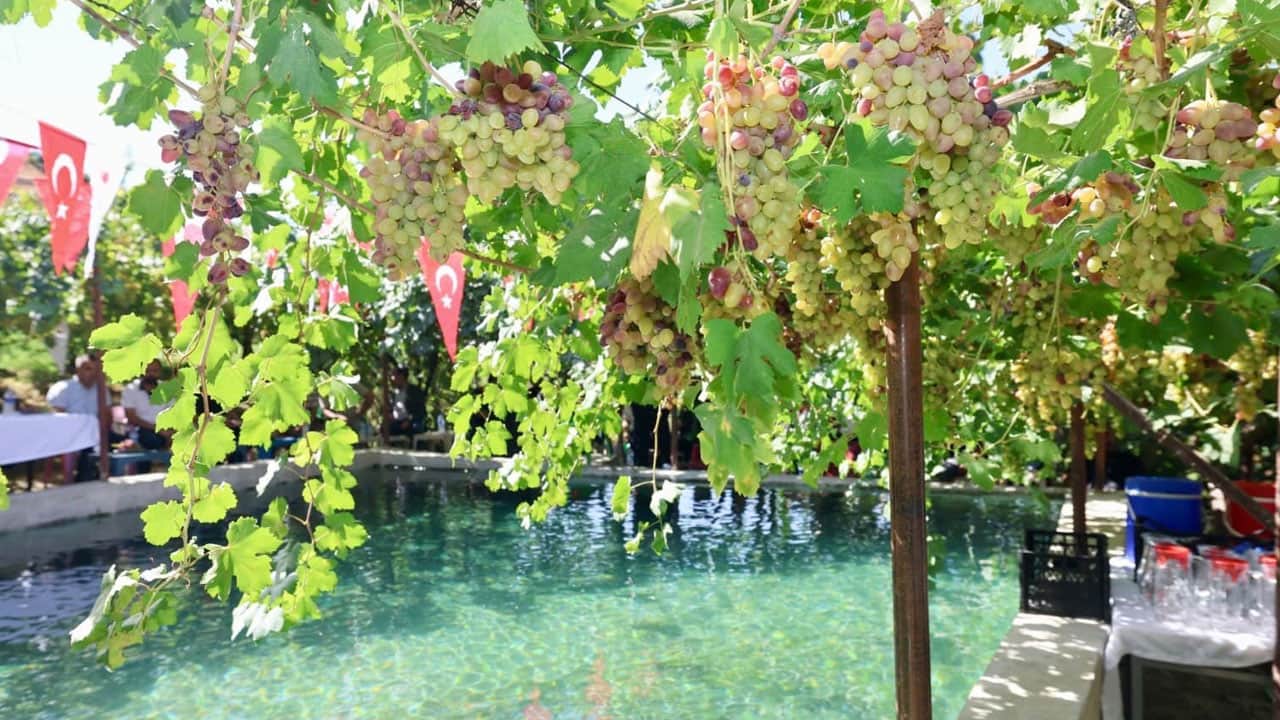 Foto - Siirt’in tescilli lezzeti Avrupa yolcusu! Hasadı başladı, yaprağı sınırları aştı