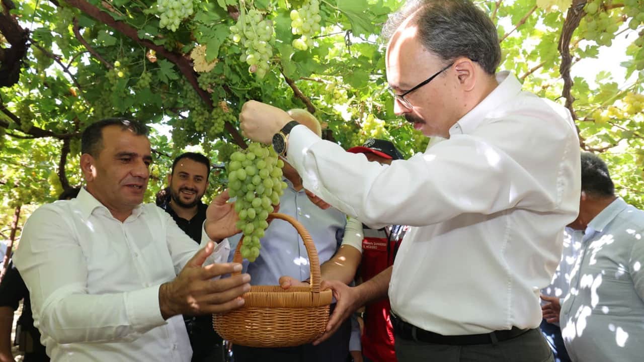 Foto - Siirt’in tescilli lezzeti Avrupa yolcusu! Hasadı başladı, yaprağı sınırları aştı
