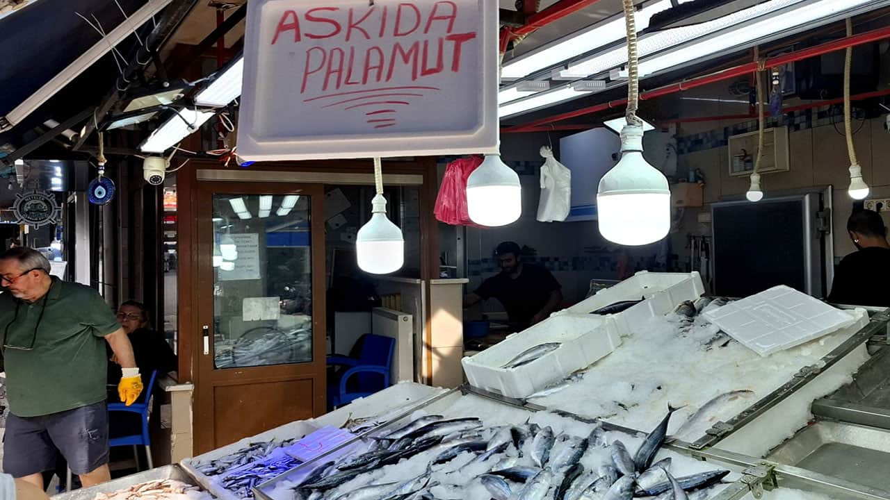 Foto - Sinop'ta ‘askıda palamut’ başladı