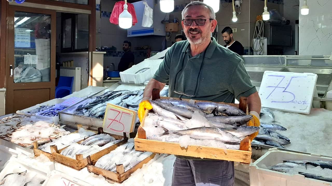 Sinop'ta ‘askıda palamut’ başladı