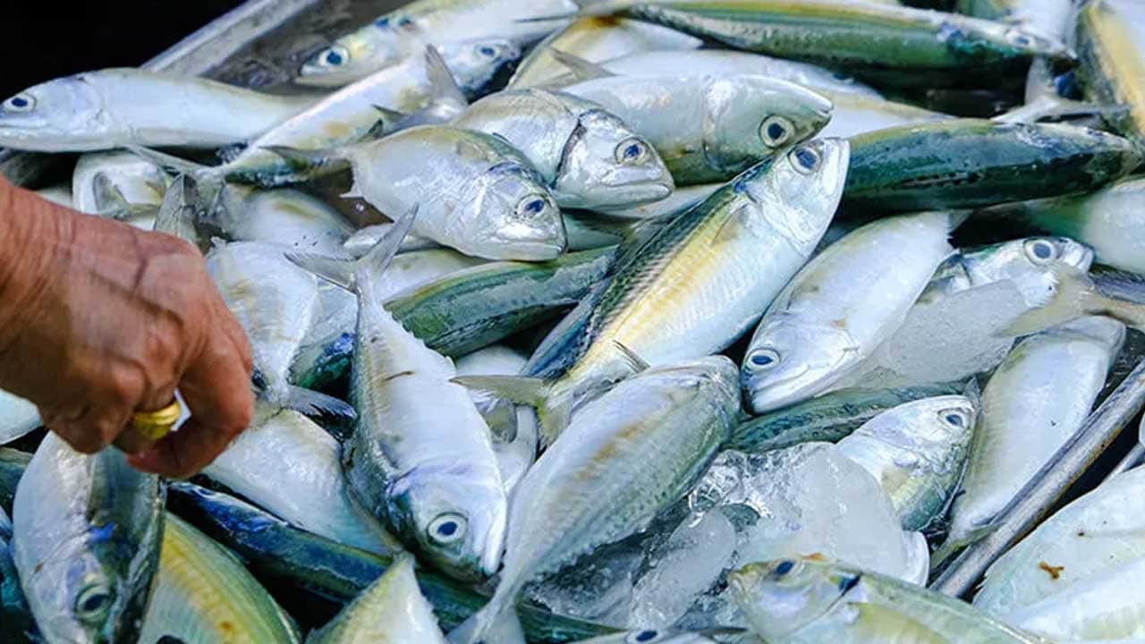 Foto - Sofranızın süper kahramanları! Bağışıklığı güçlendiren besinler belli oldu
