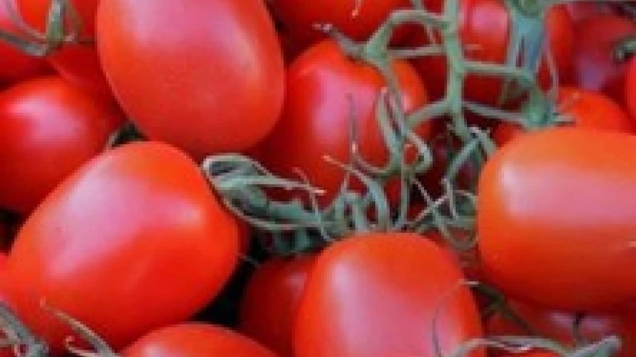 Foto - Şok Marketler Türkiye'ye müjdeyi 'o ürünü de ekledik' diyerek verdi: Vatandaşlar bunu duyunca koşa koşa gidip alacak