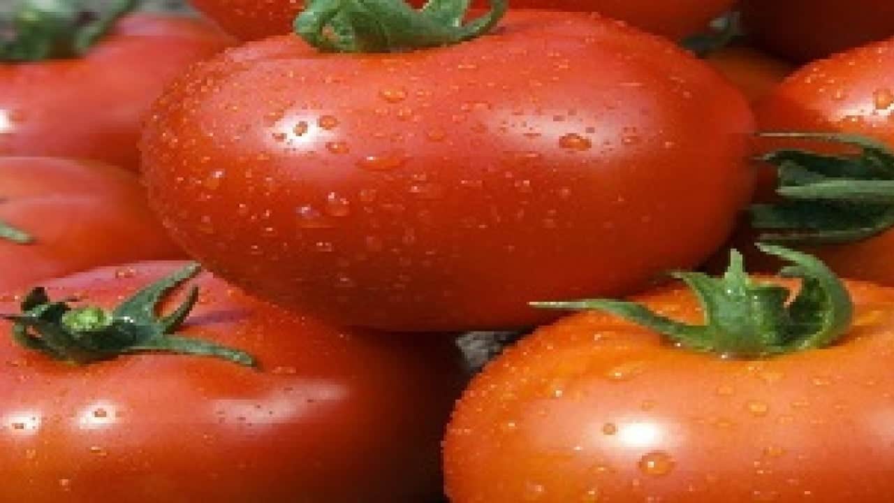 Foto - Şok Marketler Türkiye'ye müjdeyi 'o ürünü de ekledik' diyerek verdi: Vatandaşlar bunu duyunca koşa koşa gidip alacak