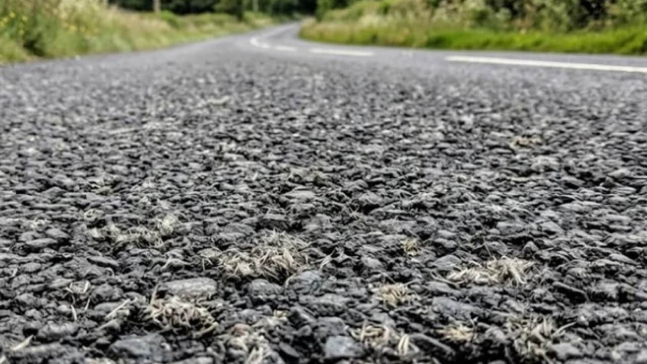 Foto - Sokak lambaları tarihe mi karışıyor? Yollar için yeni sistem devrede
