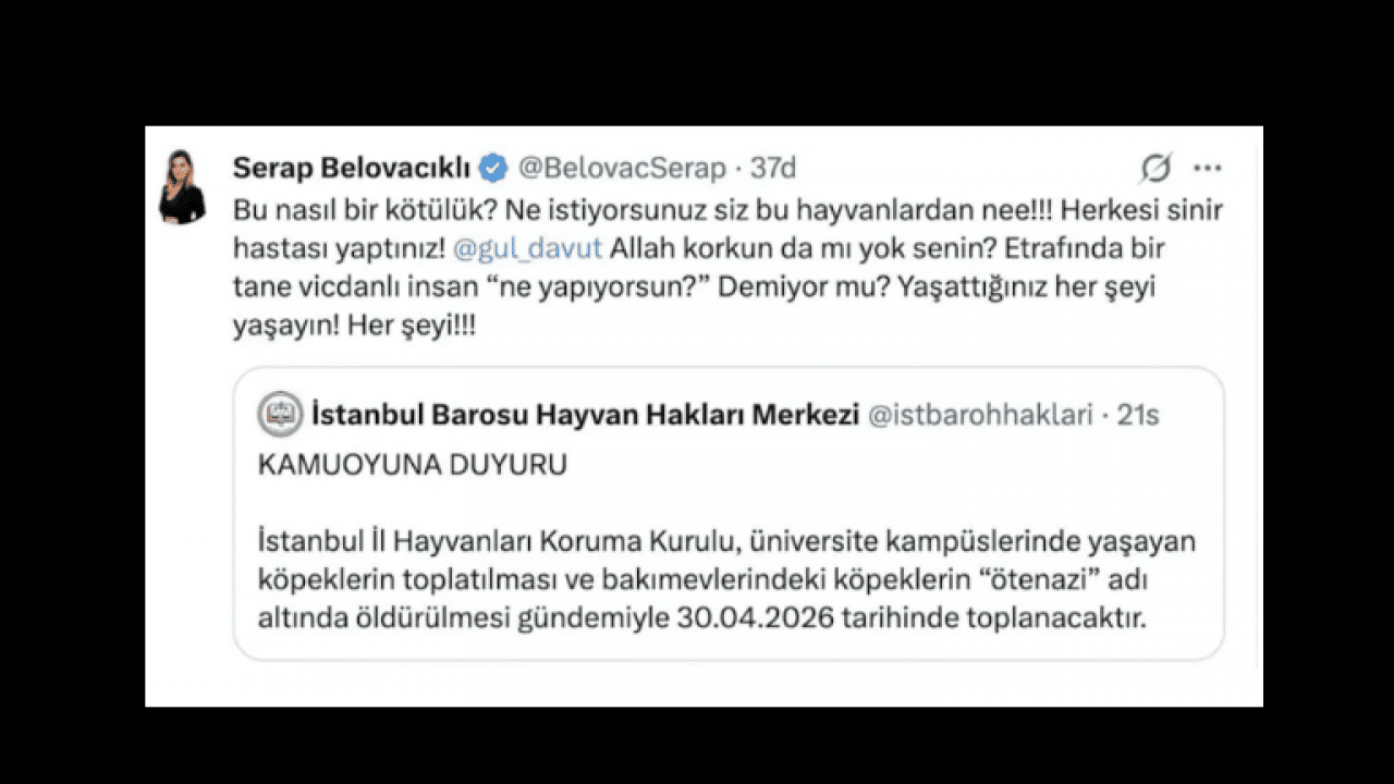 Foto - Sokak terörünün sözcülüğüne soyundu! Köpeksevici Belovacıklı’dan vahşeti görmezden gelen alçaklık! Çocuk ölümleri umrunda değil
