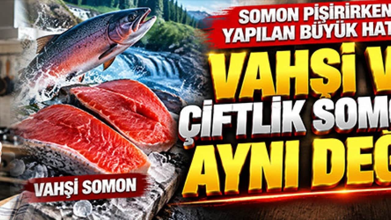 Somon pişirirken yapılan büyük hata! Vahşi ve çiftlik somonu aynı değil