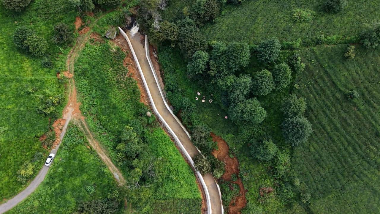 Foto - Son sürgünü topluyorlar! Heyelanlı bölgede çay hasadı