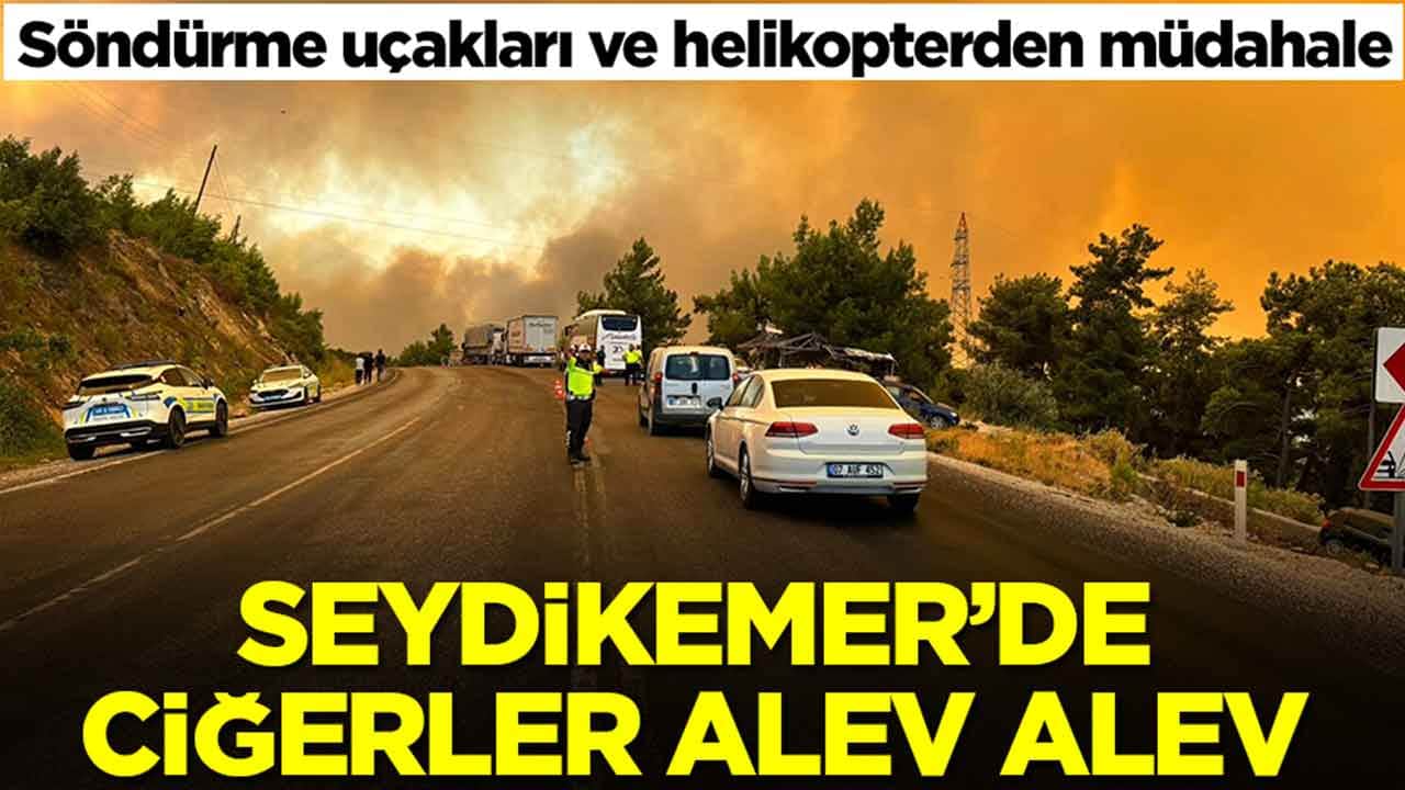 Söndürme uçakları ve helikopterden müdahale: Seydikemer'de ciğerler alev alev