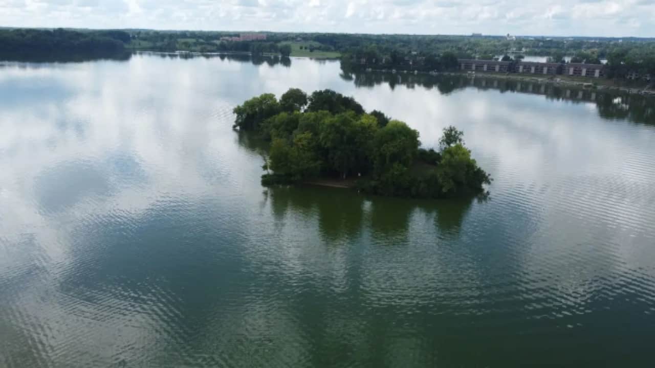 Foto - Sosyal medya ikiye bölündü: Suda gezen ada gündem oldu!