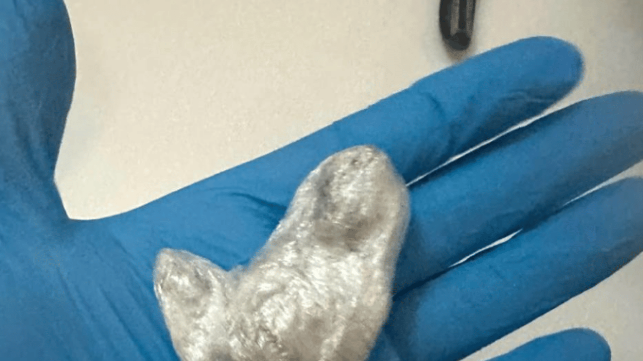 Foto - Sözde ünlülerin evinden neler çıktı neler! Bunlar mı topluma örnek olacak?