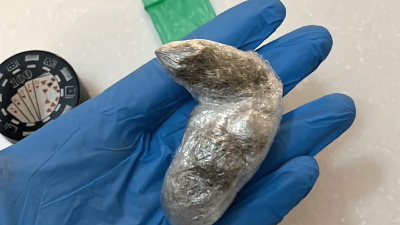 Foto - Sözde ünlülerin evinden neler çıktı neler! Bunlar mı topluma örnek olacak?