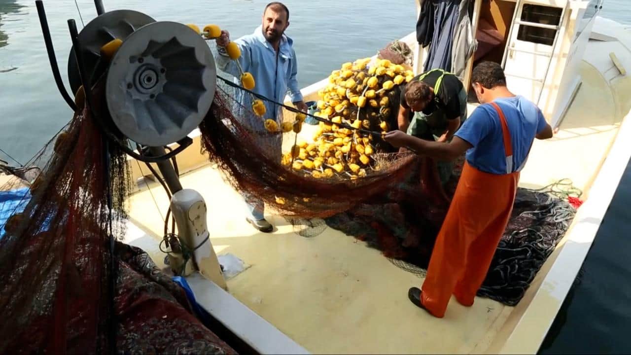Foto - Su ürünleri avcılığında düzenleme yapıldı! İşte yeni sınırlamalar ve kurallar 