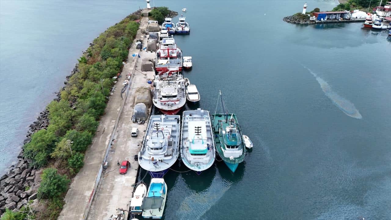 Foto - Su ürünleri avcılığında düzenleme yapıldı! İşte yeni sınırlamalar ve kurallar 