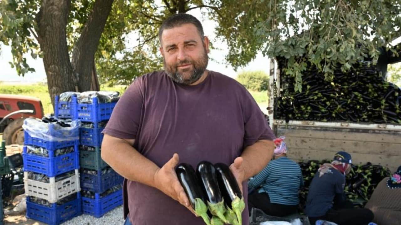 Foto - Sular altında kalan tarlada yeniden hasat heyecanı