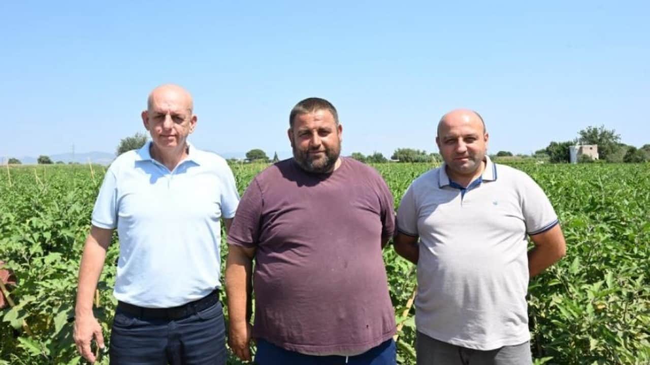 Foto - Sular altında kalan tarlada yeniden hasat heyecanı