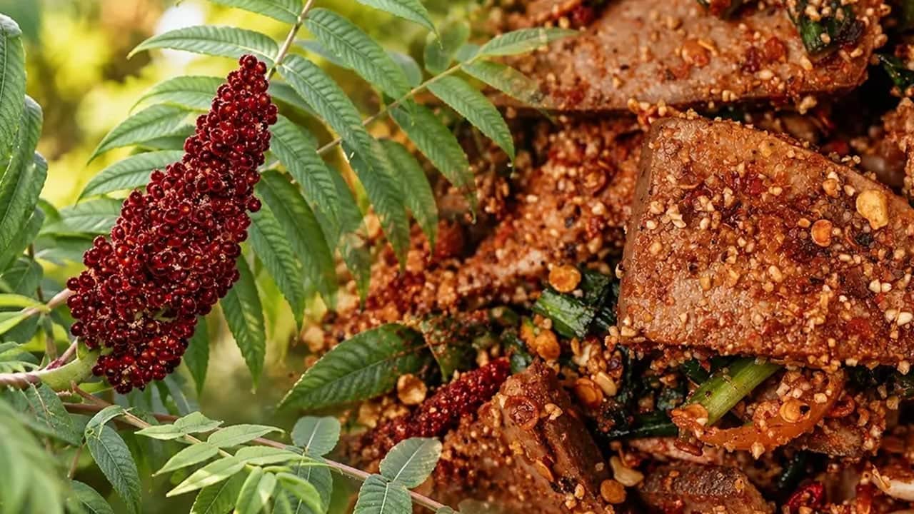 Foto - Sumak yıllardır Anadolu'da tüketiliyor: Sumak nereden geliyor? Ana ülkesi neresi? Sağlık için gerekli, şekeri dengeliyor