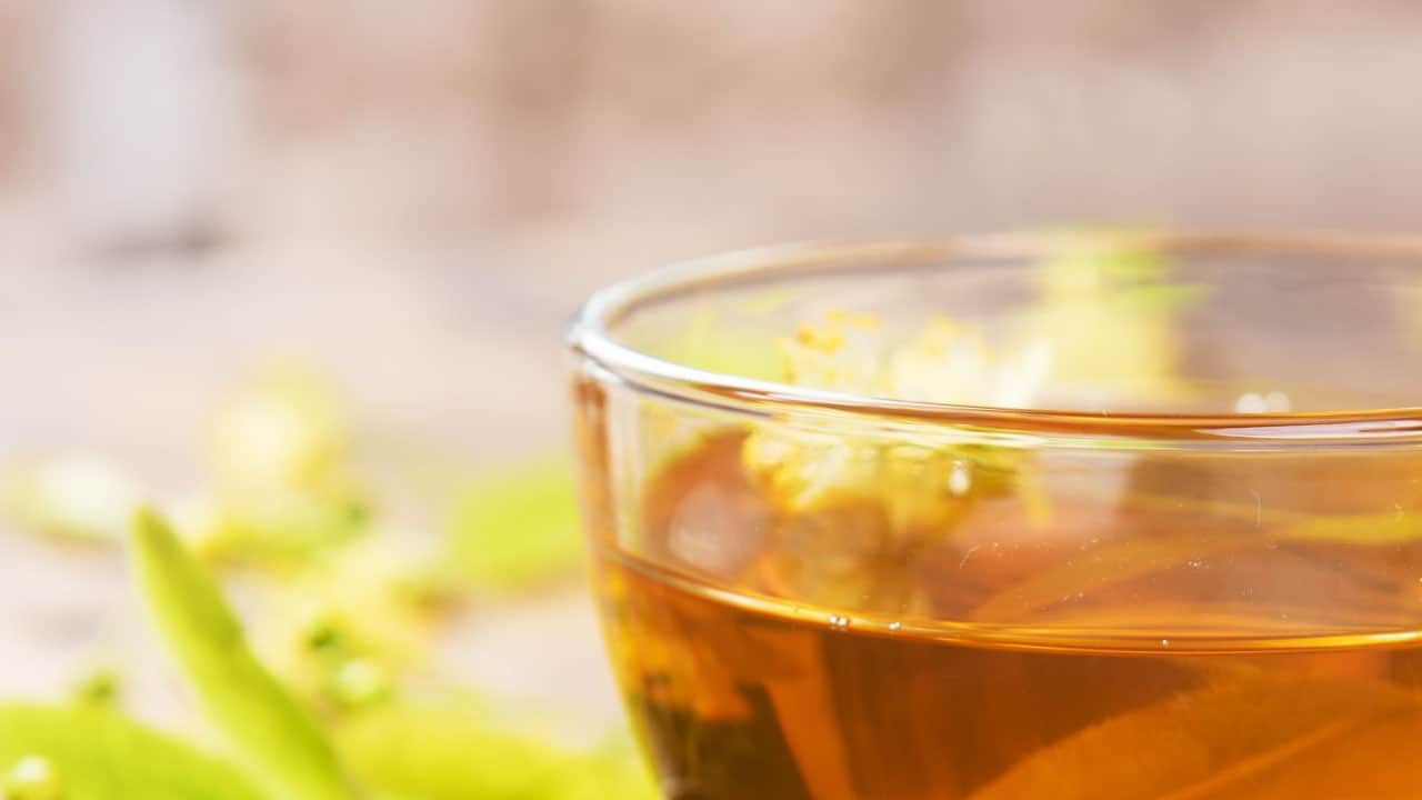 Foto - Süper besin aronya daha fazla tercih edildi! Ve zencefil tüketirseniz o dertten tamamen kurtulacaksınız