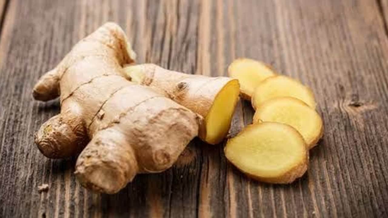 Foto - Süper gıda: Mevsim geçişinde bağışıklık sistemini güçlendiren 7 dost probiyotikler, fermente gıdalar!