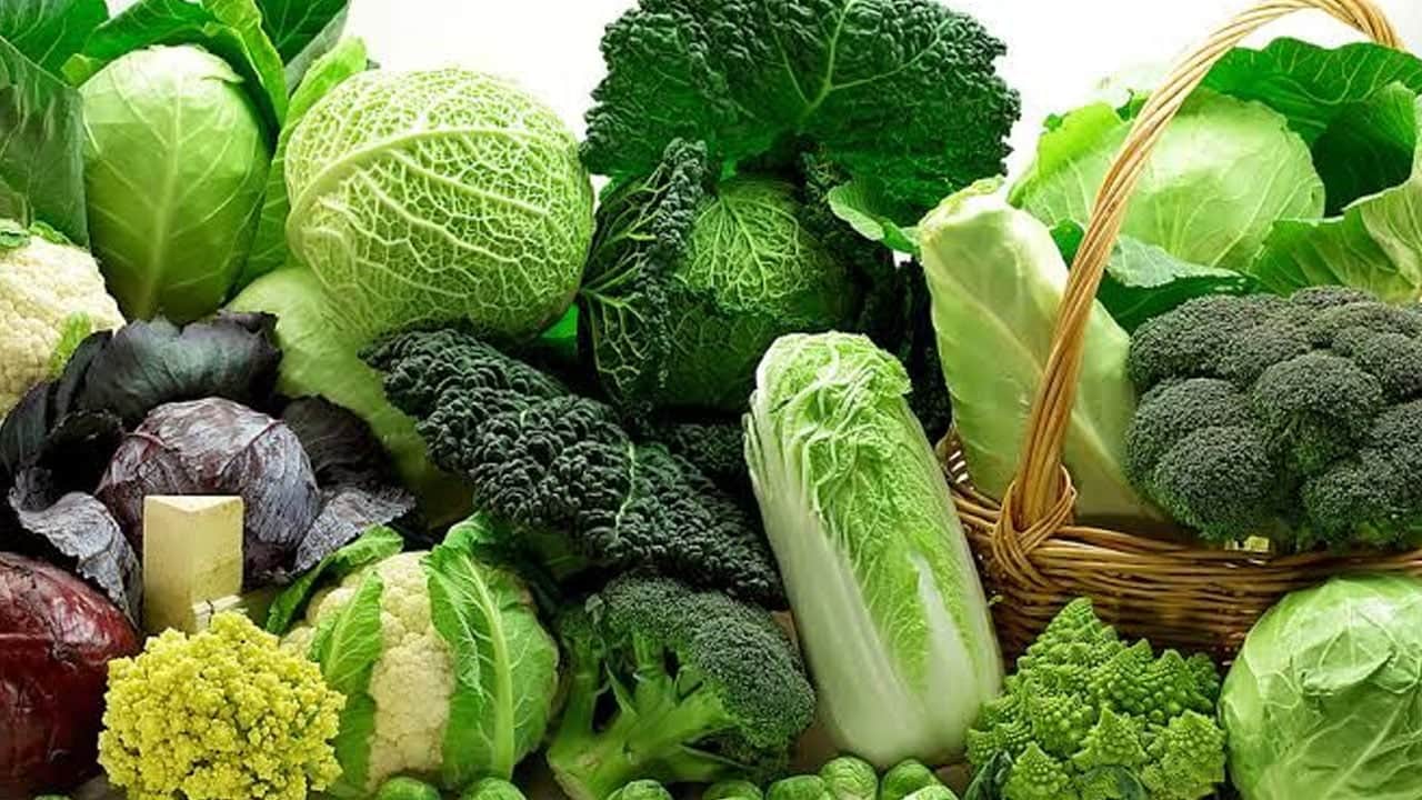 Foto - Süper gıda: Mevsim geçişinde bağışıklık sistemini güçlendiren 7 dost probiyotikler, fermente gıdalar!