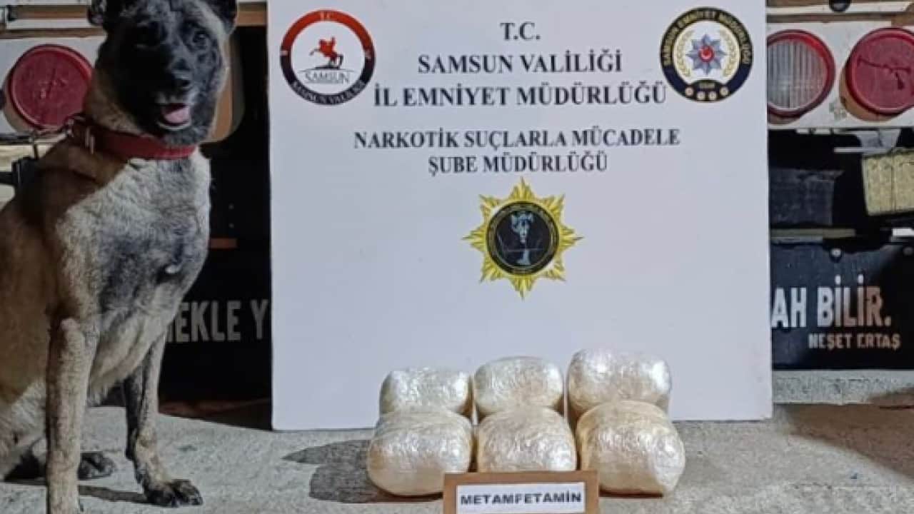 Foto - Şüpheli TIR’a operasyon düzenlendi: Buzdolabındaki zehiri Pena’nın burnu yakalattı