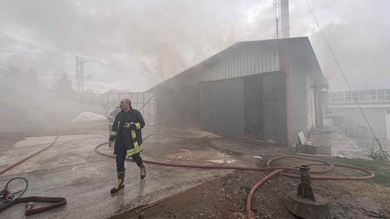 Foto - Süt fabrikasında korkutan yangın: Alev alev yanan talaş silosu söndürüldü