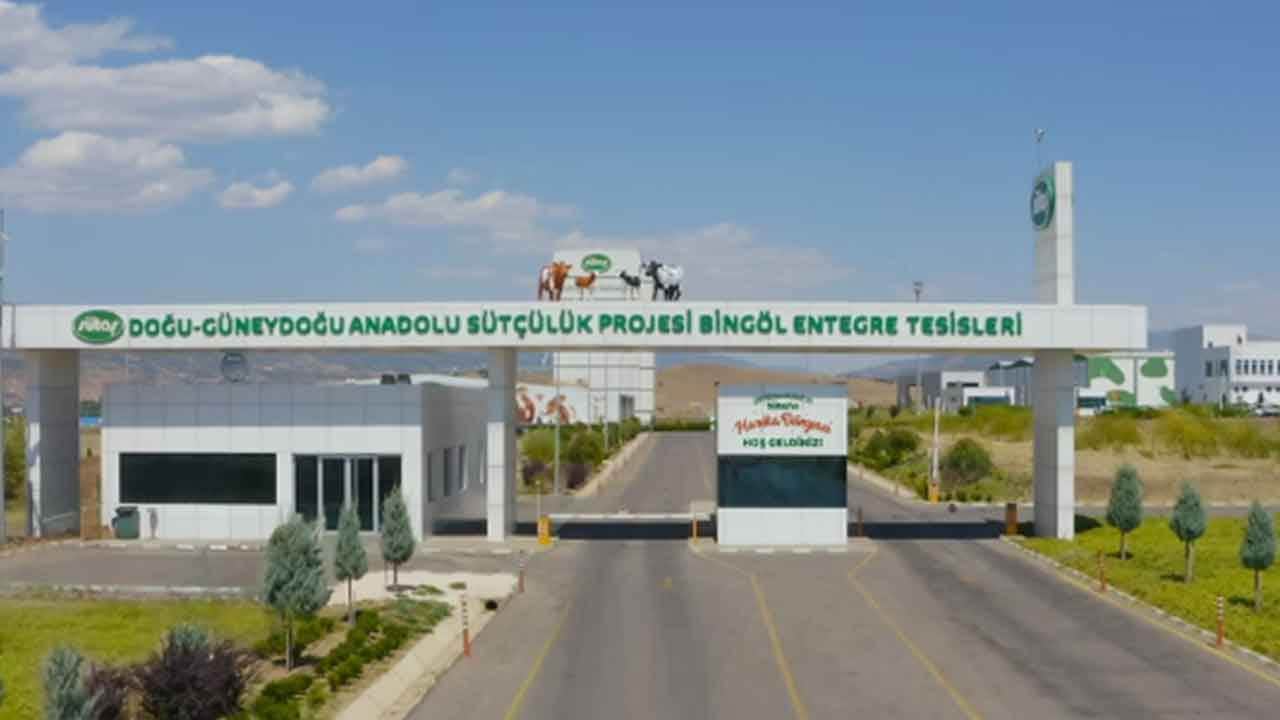 Foto - Sütaş'tan Bingöl'ü ayağa kaldıracak hamle: Kentte taşlar yerinden oynadı, her şey tersine döndü