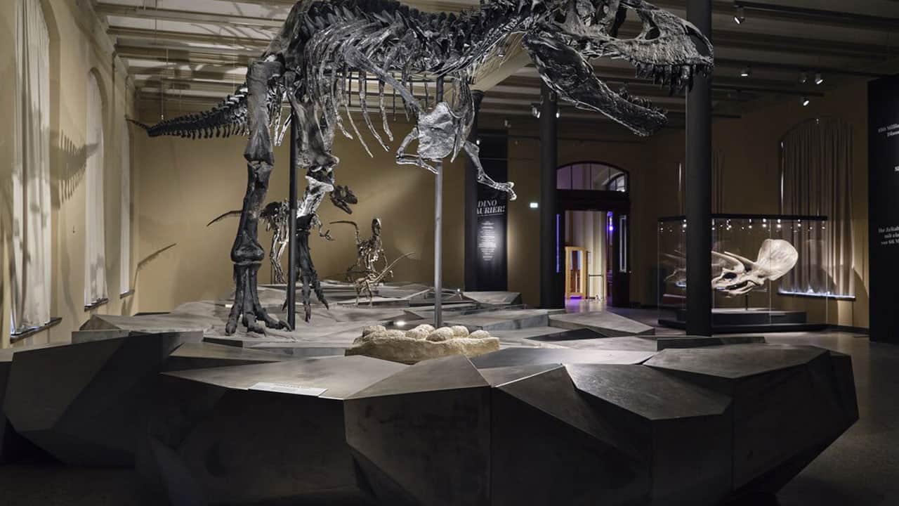 Foto - T. rex’i yıllardır yanlış mı çiziyoruz? 67 milyon yıllık fosilde şaşırtan ayrıntı
