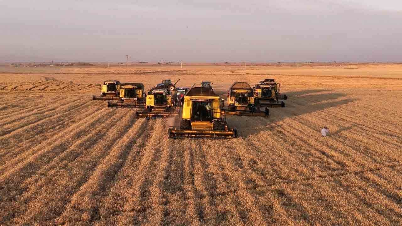 Foto - Tahılda hesapta olmayan haber! Dünya bu yıl cepten yiyecek