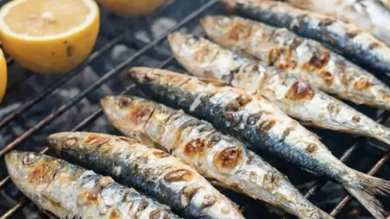 Foto - Tahtları sallandı... En sağlıklı balık belli oldu: Ton balığı ya da somon değilmiş!