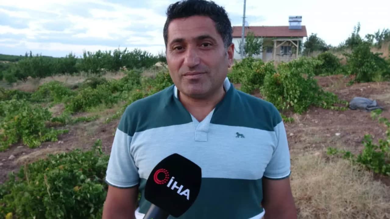 Foto - Talep patlaması yaşanıyor: Kilosu 600 TL'ye kadar çıktı!