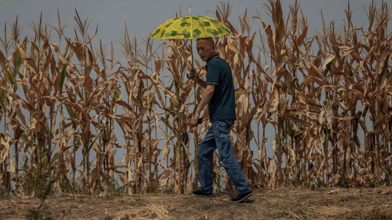 Foto - Talep ve üretim dengeleri tepetaklak! Enerji piyasalarında El Nino kasırgası