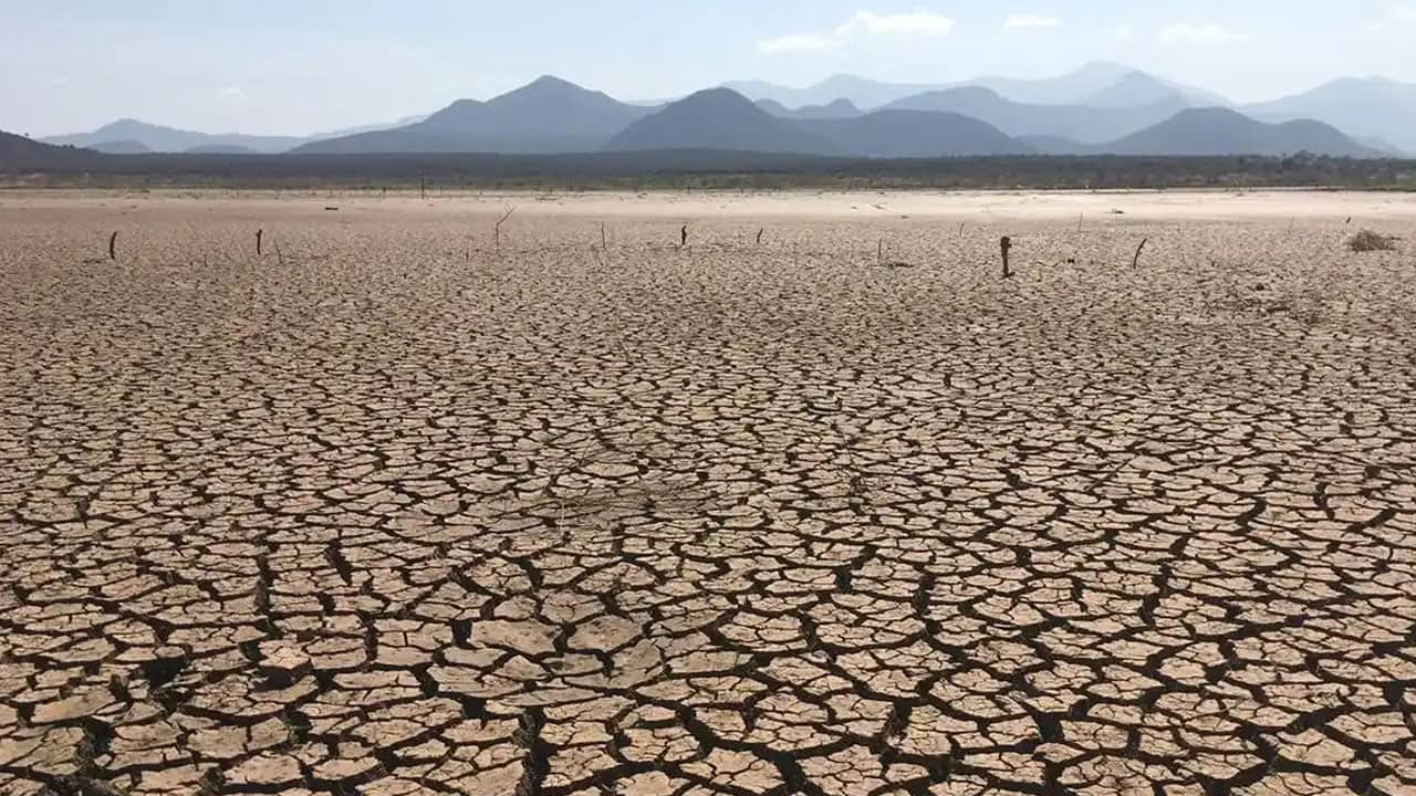 Foto - Talep ve üretim dengeleri tepetaklak! Enerji piyasalarında El Nino kasırgası